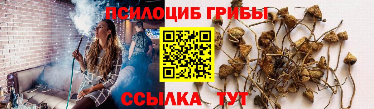 Галлюциногенные грибы Magic Shrooms Ноябрьск