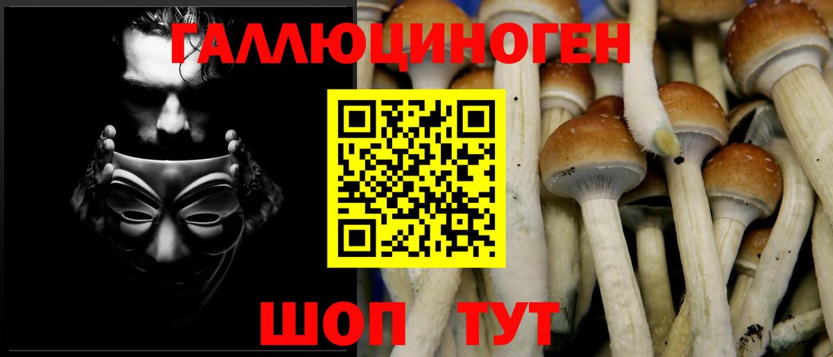 Ноябрьск  Псилоцибиновые грибы Psilocybe  Вход с VPN  Галлюциногенные грибы GOLDEN TEACHER 